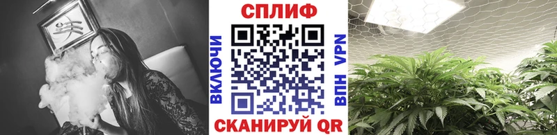 МЕФ Усинск