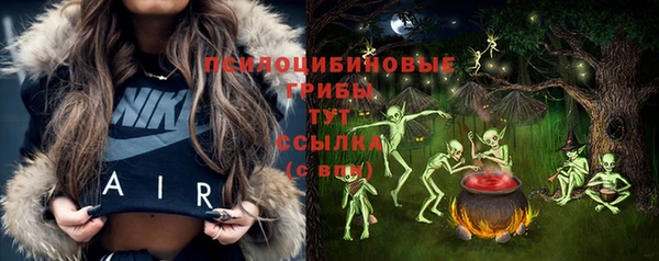 дмт Алексин