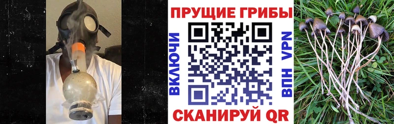 гидра как зайти  Усинск  Псилоцибиновые грибы мицелий  мориарти как зайти  где можно купить  