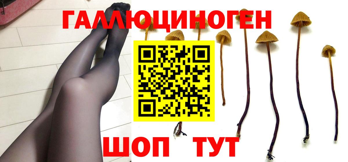Галлюциногенные грибы GOLDEN TEACHER Усинск